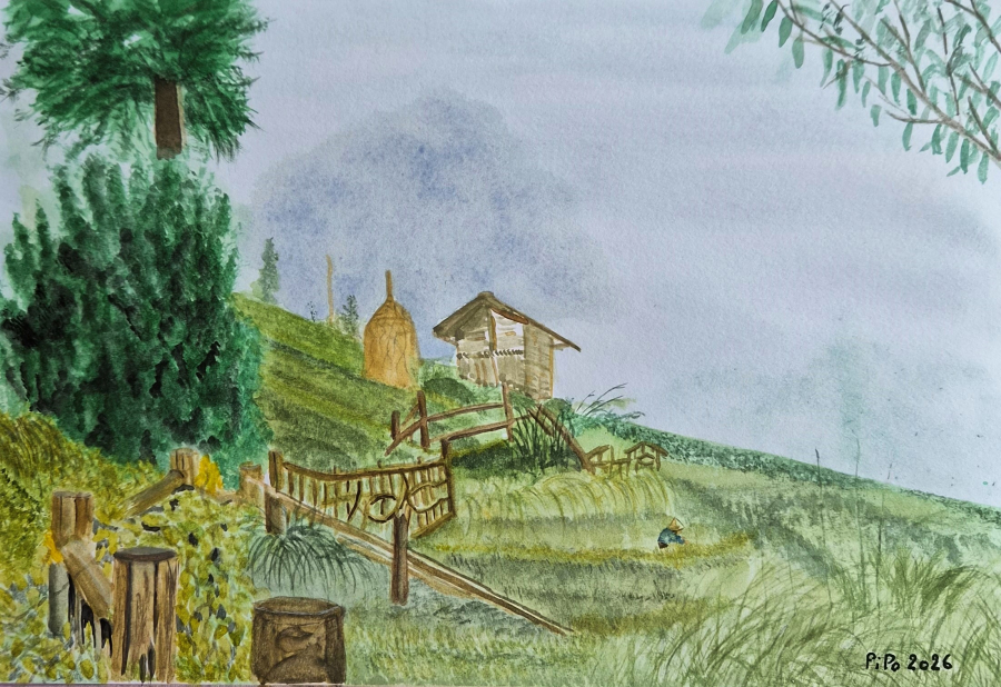 La plantation